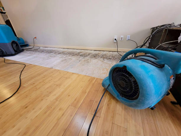 Professional Water Damage Repair technician working in Hammett, ID